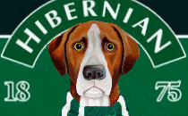 Hibernian News Hound